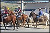IMG_5267.JPG