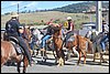 IMG_5269.JPG