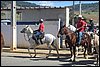 IMG_5271.JPG