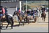 IMG_5275.JPG