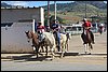 IMG_5281.JPG
