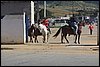 IMG_5285.JPG