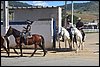 IMG_5287.JPG