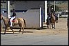 IMG_5291.JPG