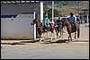 IMG_5295.JPG