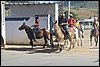 IMG_5299.JPG
