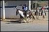 IMG_5305.JPG