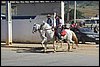 IMG_5309.JPG