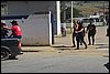 IMG_5311.JPG