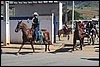 IMG_5321.JPG