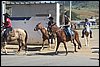 IMG_5327.JPG