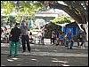 101_1675.JPG