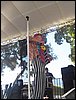 101_1854.JPG