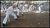 IMG_20250720_135321.jpg