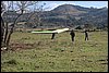 IMG_5583.JPG