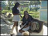 P8080008.JPG