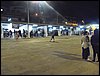 P8090222.JPG