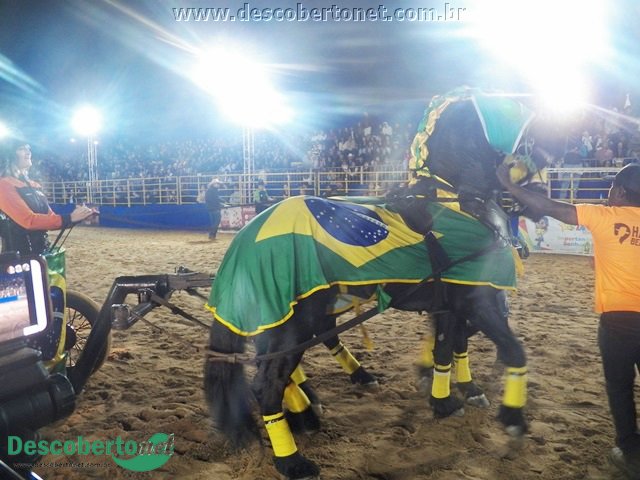 100_2356.JPG