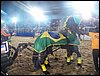 100_2356.JPG