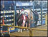 100_2363.JPG