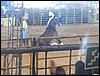 100_2369.JPG