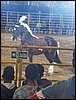 100_2371.JPG