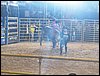 100_2373.JPG