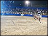 100B2500.JPG