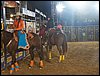 100_2524.JPG
