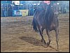 100_2527.JPG
