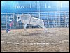 100_2538.JPG