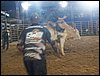 100_2542.JPG