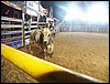 100_2553.JPG