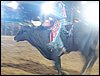 100_2555.JPG