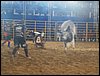 100_2556.JPG