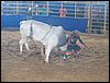100_2692.JPG