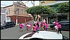 IMG_20251011_074434.jpg