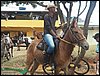 100_0130.JPG