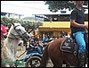 100_0132.JPG