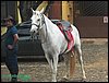 100_0144.JPG