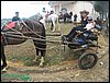100_0149.JPG