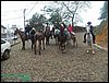100_0159.JPG