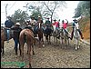 100_0161.JPG
