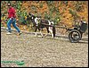 100_0163.JPG