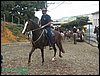 100_0170.JPG