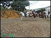 100_0177.JPG