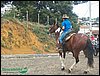 100_0179.JPG