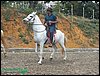 100_0181.JPG