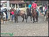 100_0185.JPG