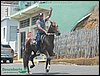 100_0204.JPG